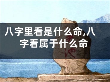 八字里看是什么命,八字看属于什么命