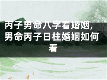 丙子男命八字看婚姻,男命丙子日柱婚姻如何看