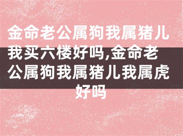 金命老公属狗我属猪儿我买六楼好吗,金命老公属狗我属猪儿我属虎好吗