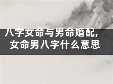 八字女命与男命婚配,女命男八字什么意思