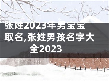 张姓2023年男宝宝取名,张姓男孩名字大全2023