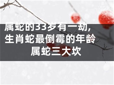 属蛇的33岁有一劫,生肖蛇最倒霉的年龄 属蛇三大坎