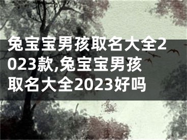 兔宝宝男孩取名大全2023款,兔宝宝男孩取名大全2023好吗