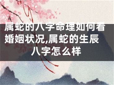 属蛇的八字命理如何看婚姻状况,属蛇的生辰八字怎么样