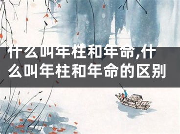 什么叫年柱和年命,什么叫年柱和年命的区别