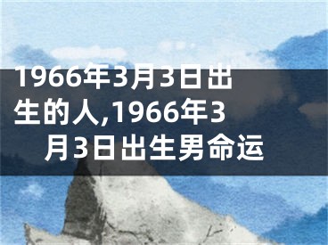 1966年3月3日出生的人,1966年3月3日出生男命运