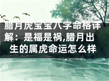腊月虎宝宝八字命格详解：是福是祸,腊月出生的属虎命运怎么样