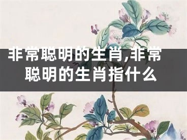 非常聪明的生肖,非常聪明的生肖指什么