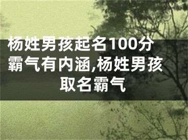 杨姓男孩起名100分霸气有内涵,杨姓男孩取名霸气