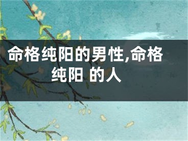 命格纯阳的男性,命格纯阳 的人