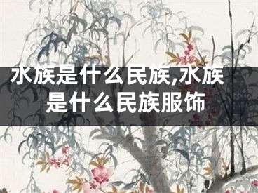 水族是什么民族,水族是什么民族服饰