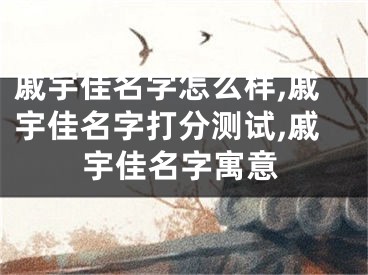 戚宇佳名字怎么样,戚宇佳名字打分测试,戚宇佳名字寓意