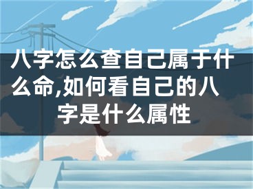 八字怎么查自己属于什么命,如何看自己的八字是什么属性