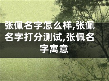 张佩名字怎么样,张佩名字打分测试,张佩名字寓意