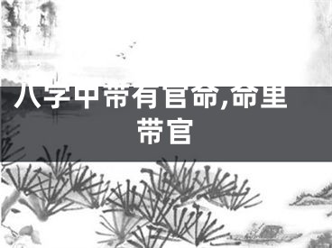 八字中带有官命,命里带官
