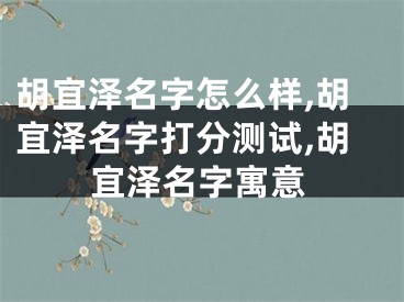 胡宜泽名字怎么样,胡宜泽名字打分测试,胡宜泽名字寓意
