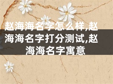 赵海海名字怎么样,赵海海名字打分测试,赵海海名字寓意