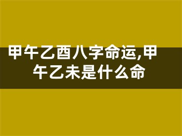甲午乙酉八字命运,甲午乙未是什么命