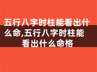 五行八字时柱能看出什么命,五行八字时柱能看出什么命格