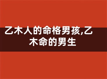 乙木人的命格男孩,乙木命的男生
