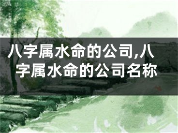 八字属水命的公司,八字属水命的公司名称