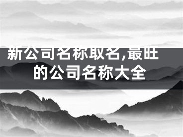 新公司名称取名,最旺的公司名称大全