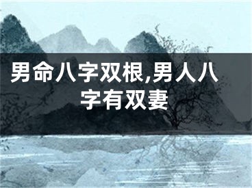 男命八字双根,男人八字有双妻