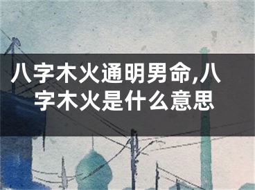 八字木火通明男命,八字木火是什么意思