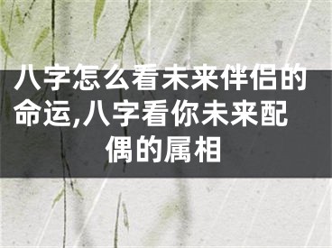 八字怎么看未来伴侣的命运,八字看你未来配偶的属相