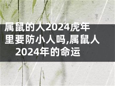 属鼠的人2024虎年里要防小人吗,属鼠人2024年的命运