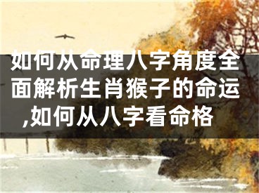 如何从命理八字角度全面解析生肖猴子的命运,如何从八字看命格