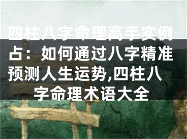 四柱八字命理高手实例占：如何通过八字精准预测人生运势,四柱八字命理术语大全