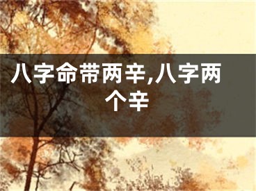 八字命带两辛,八字两个辛