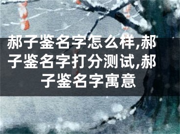 郝子鉴名字怎么样,郝子鉴名字打分测试,郝子鉴名字寓意