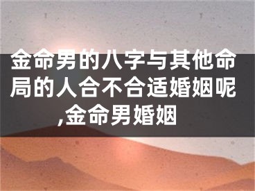 金命男的八字与其他命局的人合不合适婚姻呢,金命男婚姻