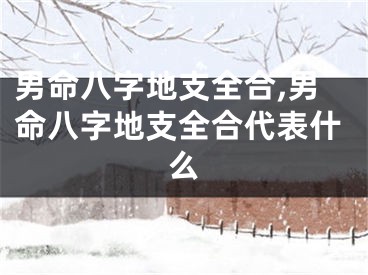 男命八字地支全合,男命八字地支全合代表什么