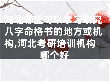 河北哪里可以学习研究八字命格书的地方或机构,河北考研培训机构哪个好
