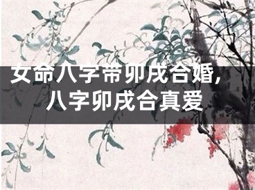 女命八字带卯戌合婚,八字卯戌合真爱