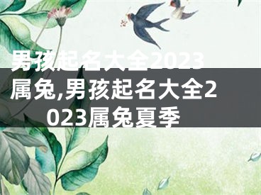男孩起名大全2023属兔,男孩起名大全2023属兔夏季