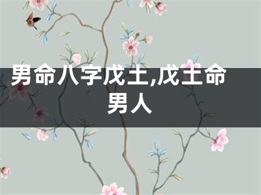 男命八字戊土,戊土命男人