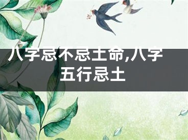 八字忌不忌土命,八字五行忌土