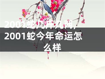 2001蛇几斤几两,2001蛇今年命运怎么样