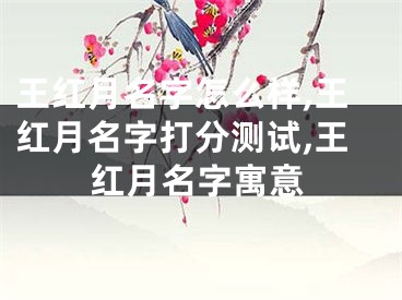 王红月名字怎么样,王红月名字打分测试,王红月名字寓意