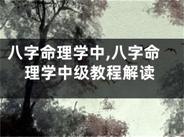 八字命理学中,八字命理学中级教程解读