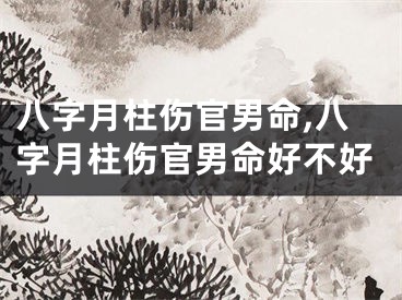 八字月柱伤官男命,八字月柱伤官男命好不好