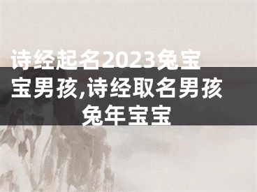 诗经起名2023兔宝宝男孩,诗经取名男孩兔年宝宝