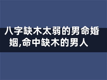 八字缺木太弱的男命婚姻,命中缺木的男人