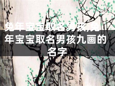 兔年宝宝取名男孩,兔年宝宝取名男孩九画的名字