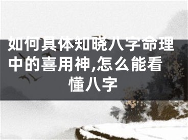 如何具体知晓八字命理中的喜用神,怎么能看懂八字