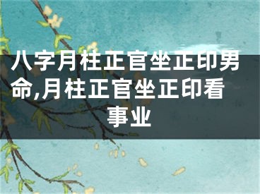 八字月柱正官坐正印男命,月柱正官坐正印看事业
